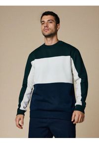 Sinsay - Bluza crewneck color-block - zielony. Kolor: zielony
