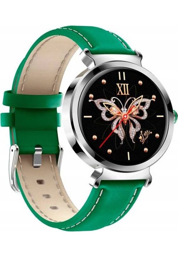 Smartwatch Bakeeley SD-1 Zielony. Rodzaj zegarka: smartwatch. Kolor: zielony