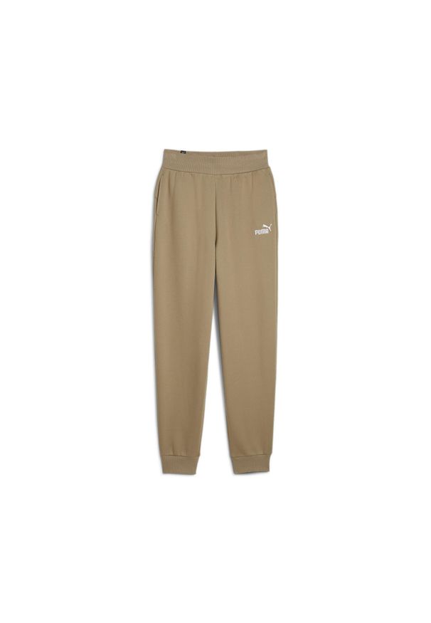 Puma Spodnie Ess+ Embroidery Fl 67000767. Kolor: brązowy