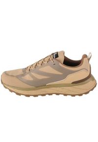 Buty trekkingowe męskie Jack Wolfskin Terraventure Texapore Low. Zapięcie: sznurówki. Kolor: wielokolorowy. Materiał: materiał, tkanina. Szerokość cholewki: normalna