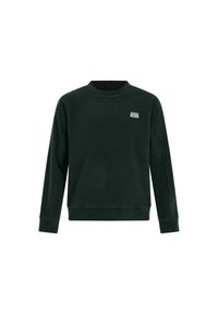 Bluza Protest Hawk. Kolor: zielony. Sezon: zima. Sport: narciarstwo #1