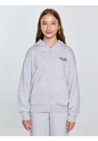 Big-Star - Bluza dziewczęca rozpinana z kapturem szara Milana 901. Okazja: na co dzień. Typ kołnierza: kaptur. Kolor: szary. Materiał: dzianina. Wzór: haft, melanż. Styl: elegancki, casual