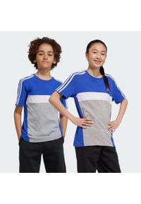 Adidas - Koszulka Tiberio 3-Stripes Colorblock Cotton Kids. Kolor: szary, niebieski, wielokolorowy, biały. Sport: joga i pilates