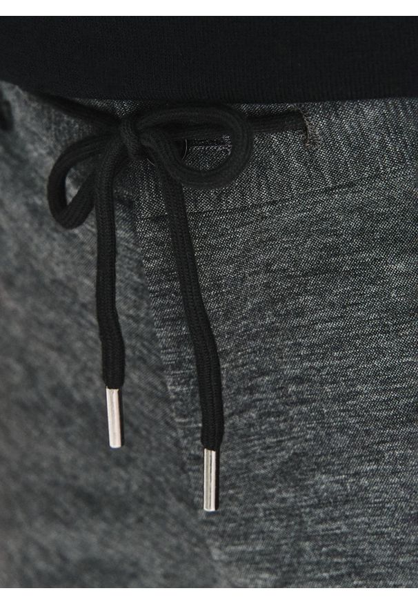 Pako Lorente - PAKO LORENTE – Szare casualowe spodnie męskie. Okazja: na co dzień. Kolor: szary. Materiał: nylon, poliester, wiskoza, elastan, wełna. Styl: casual