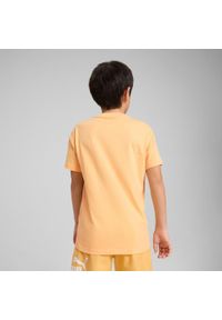 Koszulka Puma Ess Logo Lab Summer Tee B, Dzieci. Kolor: pomarańczowy. Materiał: materiał, bawełna