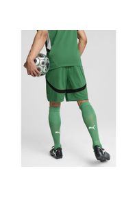 Puma - Męskie szorty Borussia Mönchengladbach 24/25 PUMA Archive Green Black. Kolor: wielokolorowy, czarny, zielony. Sport: piłka nożna