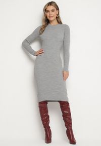 Born2be - Szara Sukienka Dzianinowa Dopasowana Morttina. Okazja: na co dzień. Kolor: szary. Materiał: dzianina. Długość rękawa: długi rękaw. Wzór: aplikacja. Typ sukienki: proste. Styl: klasyczny, casual, elegancki. Długość: midi #1