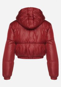 Born2be - Bordowa Kurtka Pikowana o Krótkim Fasonie z Kapturem Tinthella. Okazja: na spacer, na co dzień. Typ kołnierza: kaptur. Kolor: czerwony. Materiał: jeans. Długość: krótkie. Wzór: aplikacja. Styl: elegancki, casual #6