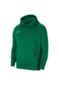 Bluza sportowa chłopięca Nike JR Park 20 Fleece. Typ kołnierza: kaptur. Kolor: wielokolorowy, zielony, biały. Styl: sportowy #1