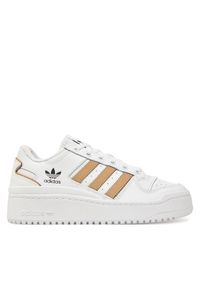 Adidas - Buty do koszykówki adidas. Kolor: biały. Sport: koszykówka