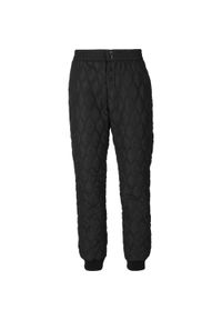 Damskie spodnie wodoodporne Whistler Nelly. Kolor: czarny. Sezon: lato. Sport: turystyka piesza #1