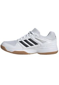 Adidas - Buty do siatkówki adidas Speedcourt M IE8032 białe. Zapięcie: sznurówki. Kolor: biały. Materiał: guma, syntetyk, tkanina. Sport: siatkówka