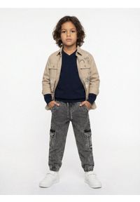 Sinsay - Jeansy jogger comfort cargo z efektem sprania - szary. Kolor: szary #1