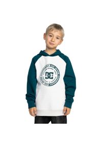 DC Shoes - Bluza z kapturem dla Chłopcy DC CORPO Niebieski. Typ kołnierza: kaptur. Kolor: niebieski. Materiał: materiał, poliester, bawełna. Sport: skateboard