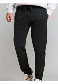 Sinsay - Spodnie jogger - szary. Kolor: szary