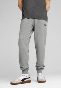 Puma - Męskie spodnie dresowe Essentials z logo No. 1 PUMA Medium Gray Heather. Kolor: szary. Materiał: dresówka