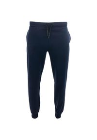 ZUMBA WEAR - Koszulka Sportowa Męska Athl DPT Rametto Granatowa XL. Kolor: niebieski. Materiał: poliester, bawełna. Sport: turystyka piesza