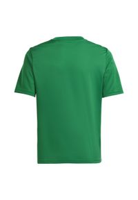 Adidas - Koszulka dla dzieci adidas Tabela 23 Jersey. Kolor: biały, wielokolorowy, zielony. Materiał: jersey
