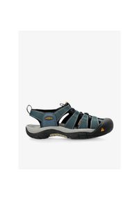 keen - Sandały trekkingowe męskie Keen Newport H2. Kolor: zielony. Sport: turystyka piesza #1
