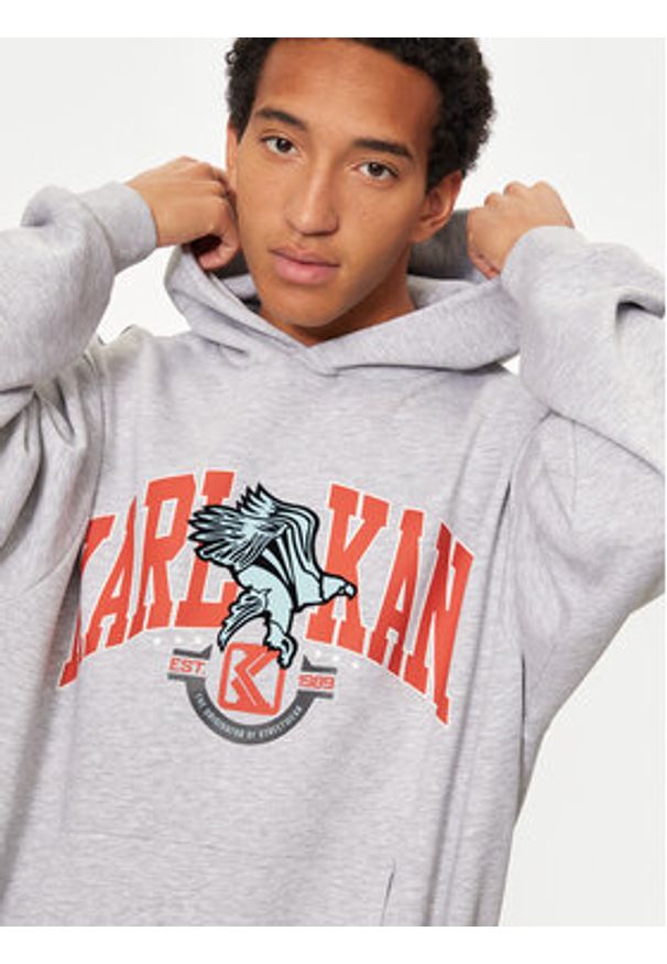 Karl Kani Bluza Eagle Print 60210116 Szary Regular Fit. Kolor: szary. Materiał: bawełna. Wzór: nadruk