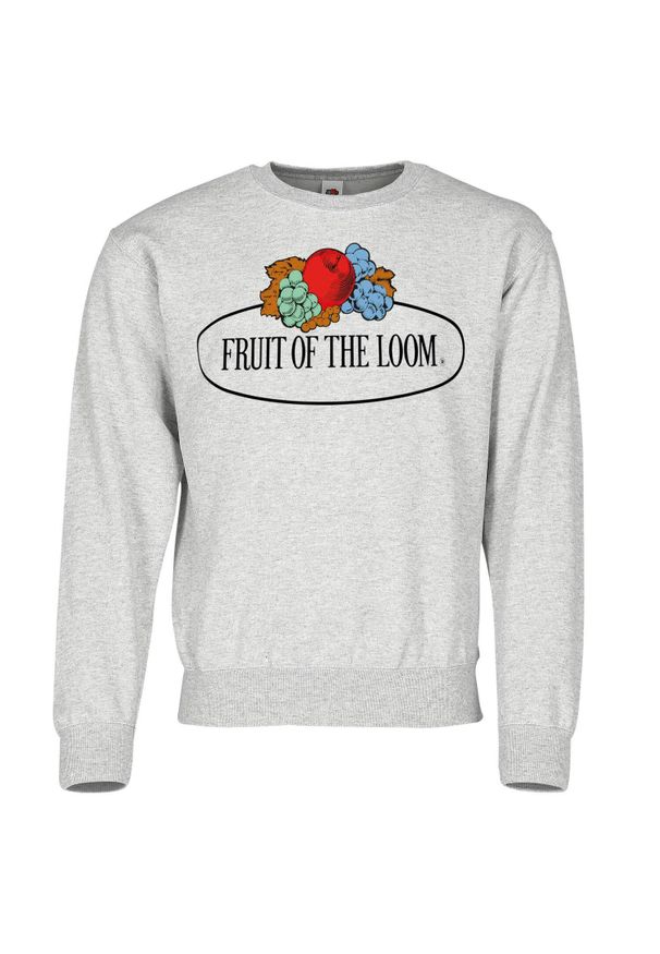 FRUIT OF THE LOOM - Męska Bluza Z Nadrukiem Logo W Stylu Vintage. Kolor: szary. Wzór: nadruk