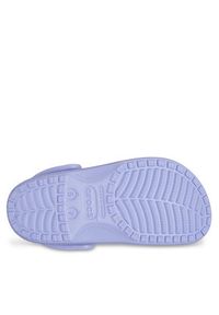 Crocs Klapki Classic 10001 Fioletowy. Kolor: fioletowy