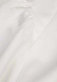 Born2be - Biała Elegancka Sukienka o Rozkloszowanym Kroju Bez Rękawów Eupene. Okazja: na co dzień. Kolor: biały. Długość rękawa: bez rękawów. Typ sukienki: rozkloszowane, proste. Styl: elegancki #5
