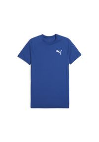 Puma - Męska koszulka Evostripe PUMA Cobalt Glaze Blue. Kolor: niebieski, szary, wielokolorowy. Sport: joga i pilates