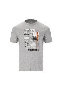 CRUZ - Koszulka Cruz Maliko. Kolor: szary #1