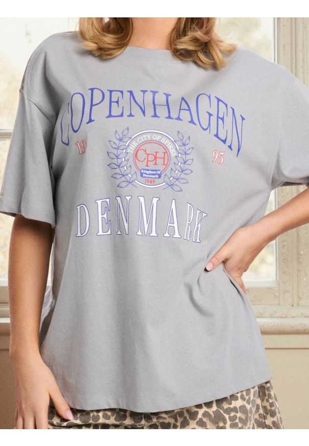 Sinsay - Koszulka z krótkim rękawem - szary. Kolor: szary. Długość rękawa: krótki rękaw. Długość: krótkie