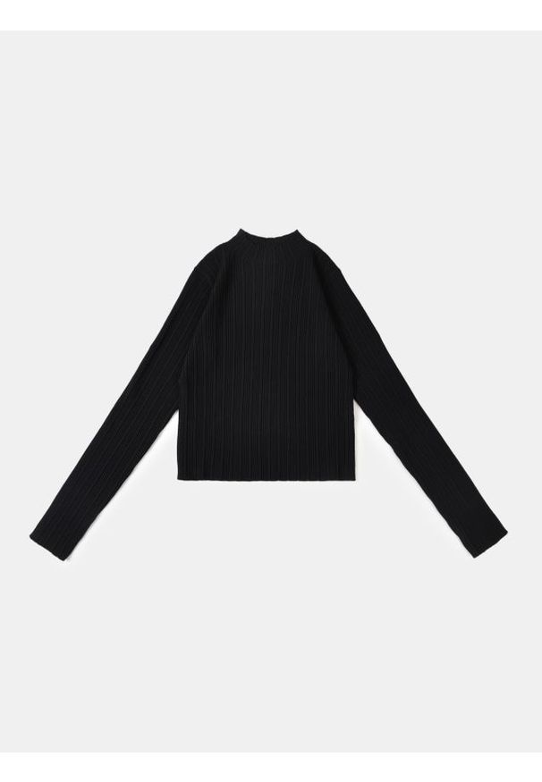 Sinsay - Prążkowany golf - czarny. Typ kołnierza: golf. Kolor: czarny. Materiał: prążkowany