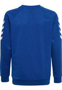 Bluza do piłki ręcznej dla dzieci Hummel hmlGO cotton. Kolor: niebieski. Sport: piłka ręczna