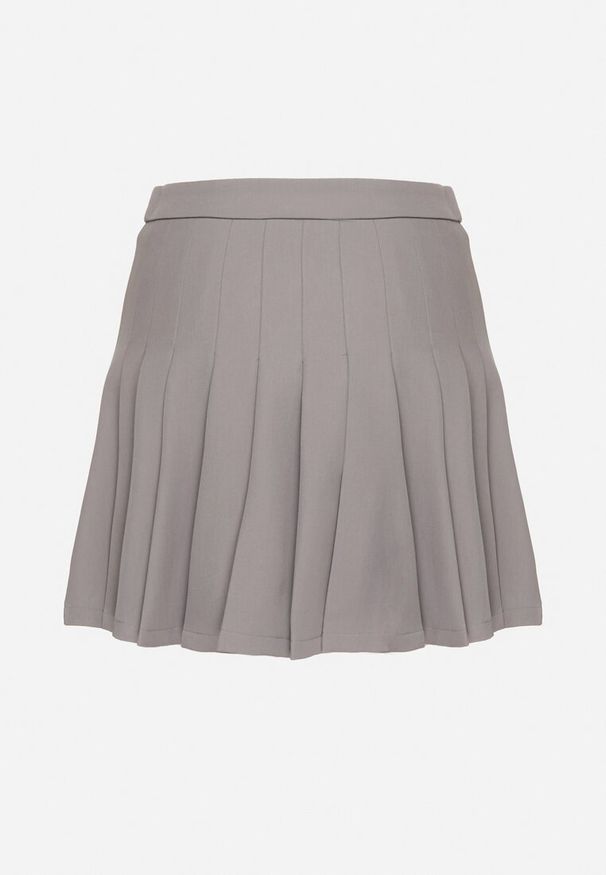 Born2be - Jasnoszare Wiskozowe Spódnico-Spodenki High Waist z Plisami Annelin. Okazja: na co dzień. Stan: podwyższony. Kolor: szary. Materiał: wiskoza. Sezon: lato. Styl: klasyczny, elegancki, casual