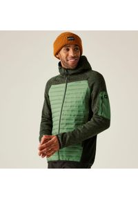 Regatta - Kurtka męska hybrydowa Newhill. Kolor: zielony. Materiał: puch. Sport: turystyka piesza #1