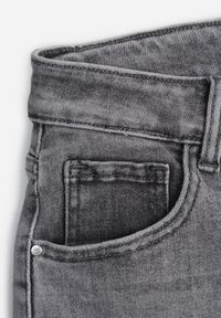 Renee - Szare Jeansy Flare Regular Waist z Bawełną i Dodatkiem Wiskozy Arritina. Okazja: na co dzień. Kolor: szary. Długość: krótkie. Styl: retro, klasyczny, casual #2