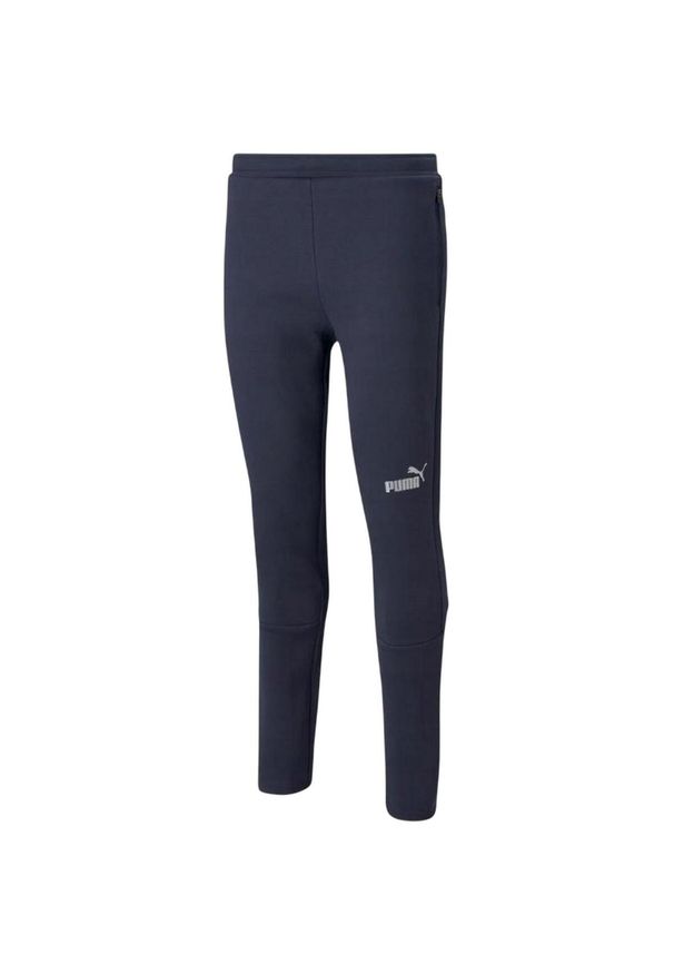 Puma - Męskie Spodnie Do Biegania TeamFINAL. Kolor: niebieski. Materiał: dresówka