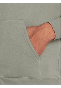 Tommy Jeans Bluza DM0DM20743 Zielony Regular Fit. Kolor: zielony. Materiał: bawełna #5