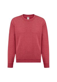 FRUIT OF THE LOOM - Sportowa Bluza Dziecięca Zwykła. Kolor: czerwony. Wzór: nadruk