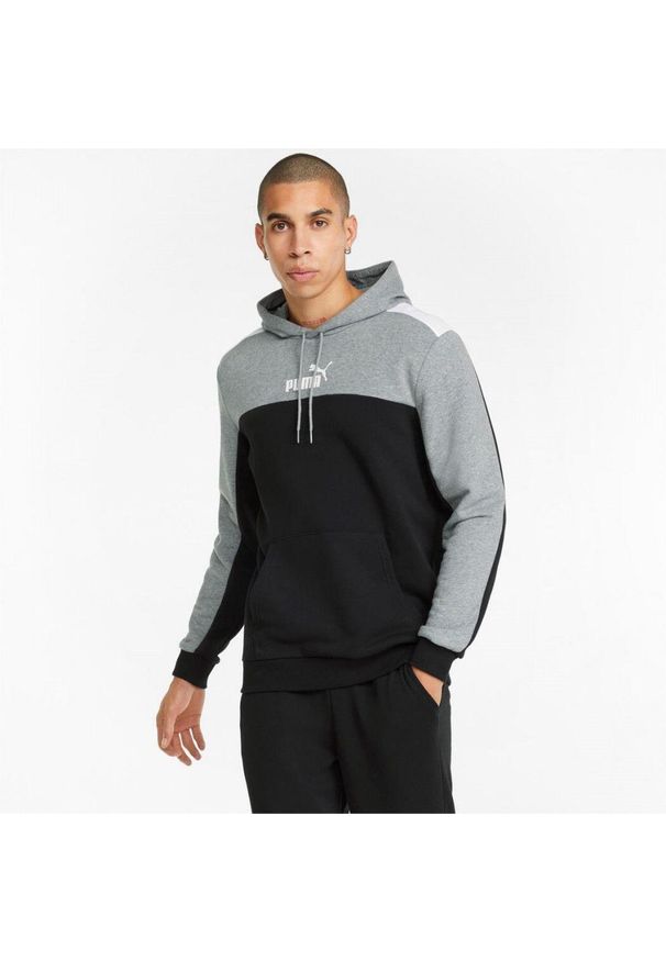Bluza treningowa męska Puma ESS+ Block Hoodie TR. Kolor: szary. Materiał: dresówka. Sport: fitness