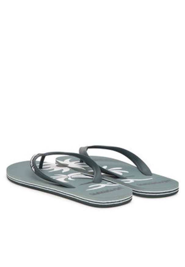 Quiksilver Japonki Molokai Screen AQYL101427 Zielony. Kolor: zielony. Materiał: syntetyk