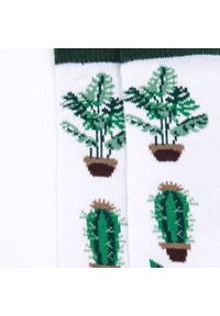 Wittchen - Męskie skarpetki w rośliny doniczkowe biało-zielone. Kolor: biały, zielony, wielokolorowy. Materiał: bawełna. Wzór: kwiaty