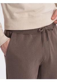 Ombre Clothing - Spodnie męskie dresowe z przeszyciem i zamkiem na nogawce - brązowe V4 - Rozmiar: XXL. Kolor: brązowy. Materiał: dresówka. Wzór: nadruk #6