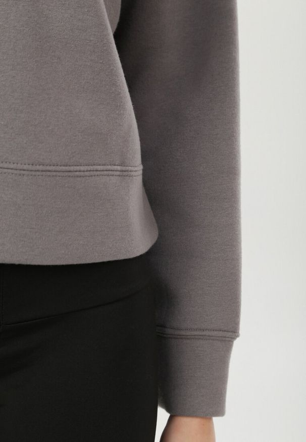 Born2be - Szara Bluza Shinyfrost. Okazja: na co dzień. Kolor: szary. Materiał: materiał, bawełna, dzianina. Długość: krótkie. Styl: casual