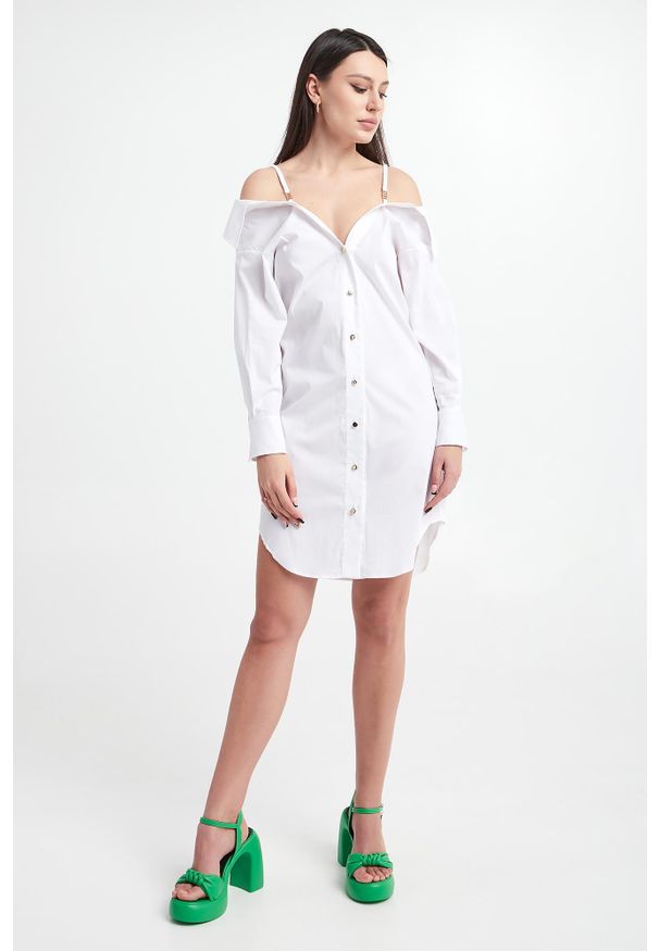 Blugirl Blumarine - Sukienka koszulowa BLUGIRL BLUMARINE. Typ sukienki: koszulowe