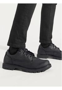 CAT Footwear Półbuty Colorado Low 2.0 P110626 Czarny. Kolor: czarny. Materiał: skóra #8