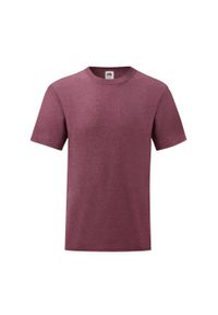 FRUIT OF THE LOOM - Męska Koszulka Valueweight. Kolor: czerwony, wielokolorowy, brązowy