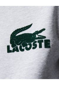 Lacoste - LACOSTE - Szara bluza z welurowym krokodylem. Kolor: szary. Materiał: welur. Długość rękawa: długi rękaw. Długość: długie. Wzór: aplikacja