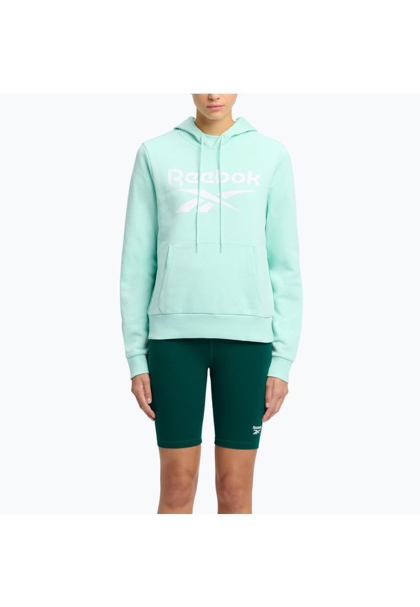 Bluza damska Reebok Identity Big Logo Fleece. Kolor: niebieski