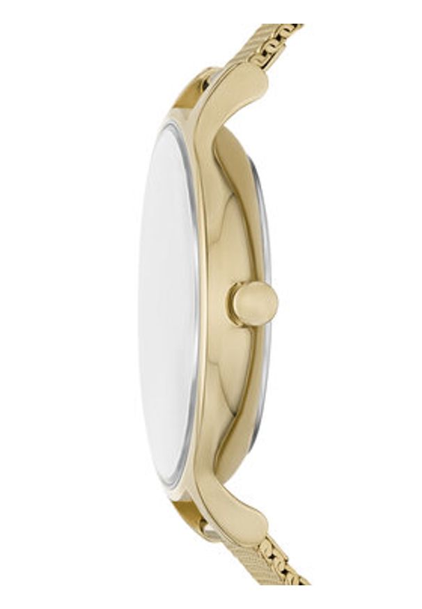 Skagen Zegarek Anita Lille SKW3145 Zielony. Kolor: zielony