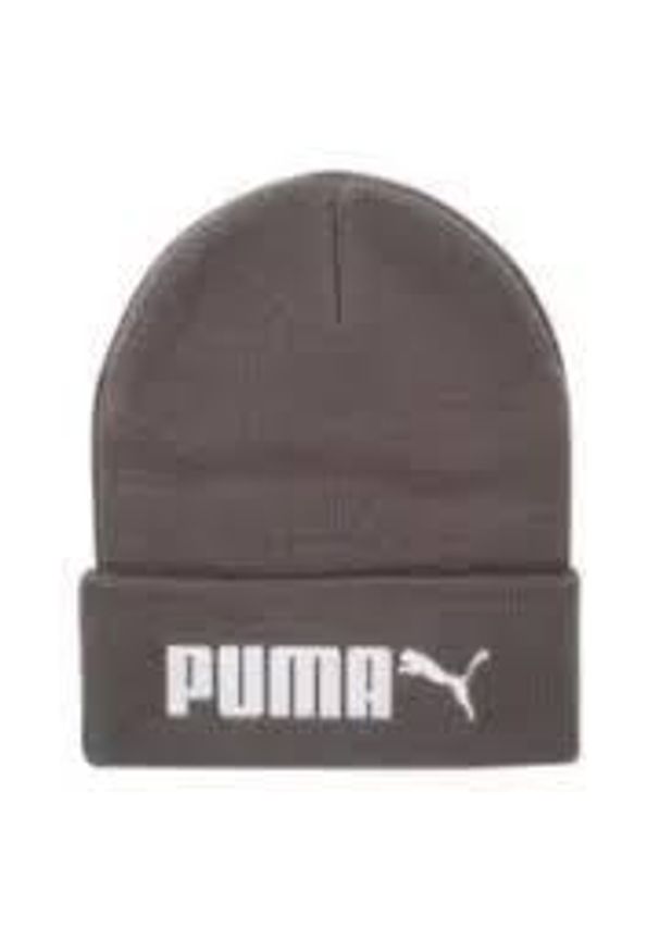 Czapka Puma Essential No. 2. Kolor: brązowy